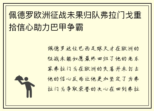 佩德罗欧洲征战未果归队弗拉门戈重拾信心助力巴甲争霸 佩德罗欧洲征战未果归队弗拉门戈重拾信心助力巴甲争霸